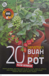 20 Tanaman Buah Dalam Pot Rajin Berbuah